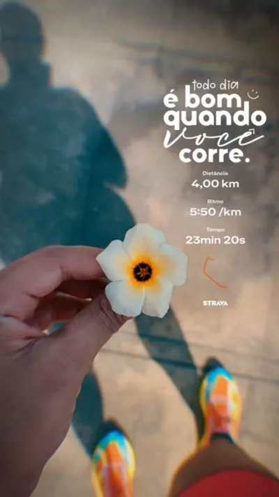 Figurinha
